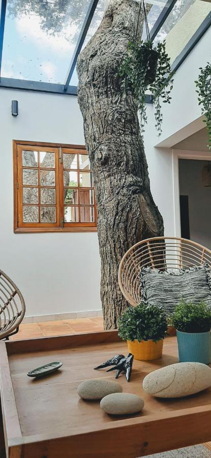 Beach Tree House Porto Santo Exterior photo